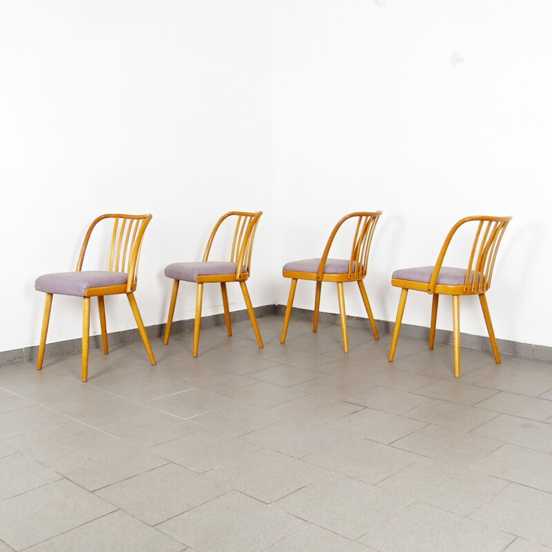 Set of 4 dining chairs by Antonín Šuman for Ton
