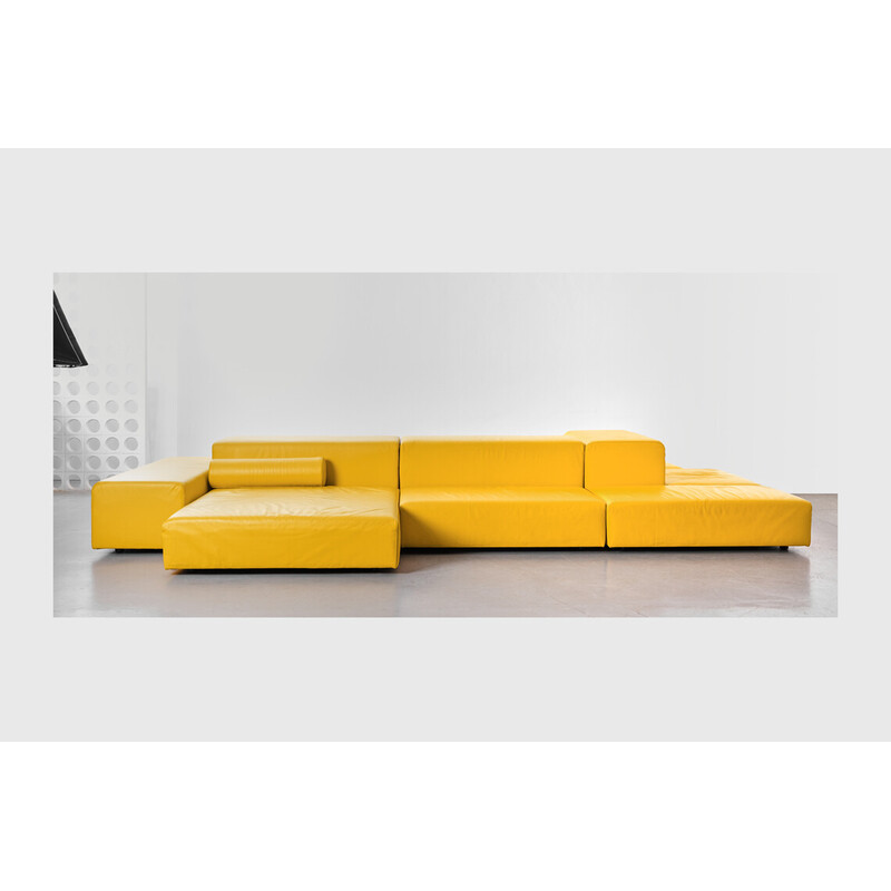 Vintage modular sofa Extra Wall by Piero Lissoni for Living Divani