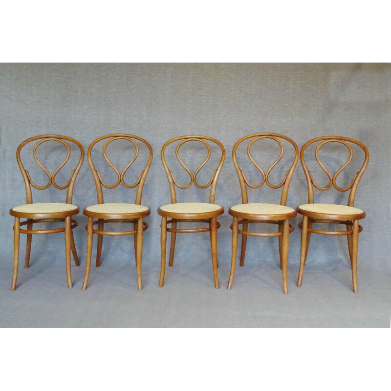 Set of 5 vintage chairs n 20 by Kohn