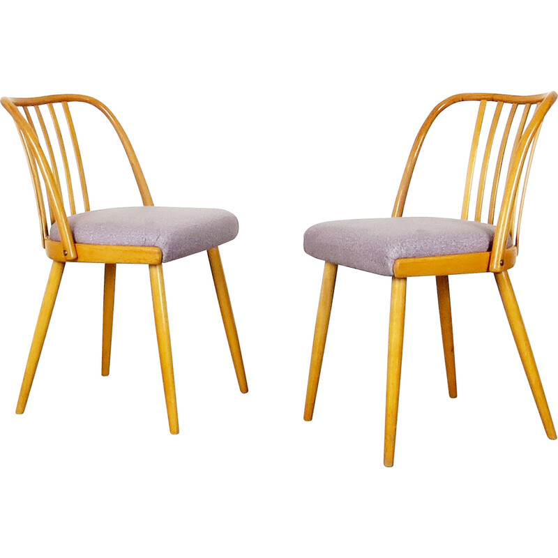 Set of 4 dining chairs by Antonín Šuman for Ton