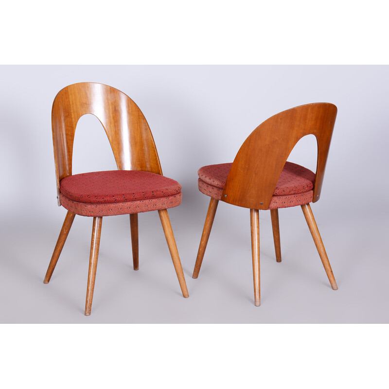 Pair of vintage chairs in beech, walnut and fabric by Antonín Šuman, Czech Republic 1950