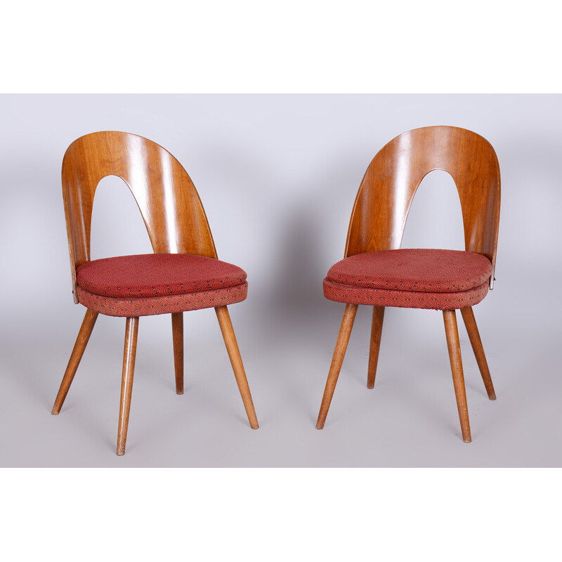 Pair of vintage chairs in beech, walnut and fabric by Antonín Šuman, Czech Republic 1950