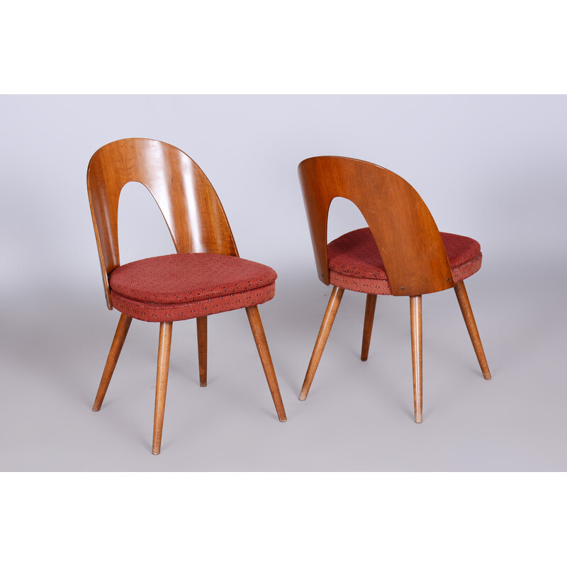 Pair of vintage chairs in beech, walnut and fabric by Antonín Šuman, Czech Republic 1950