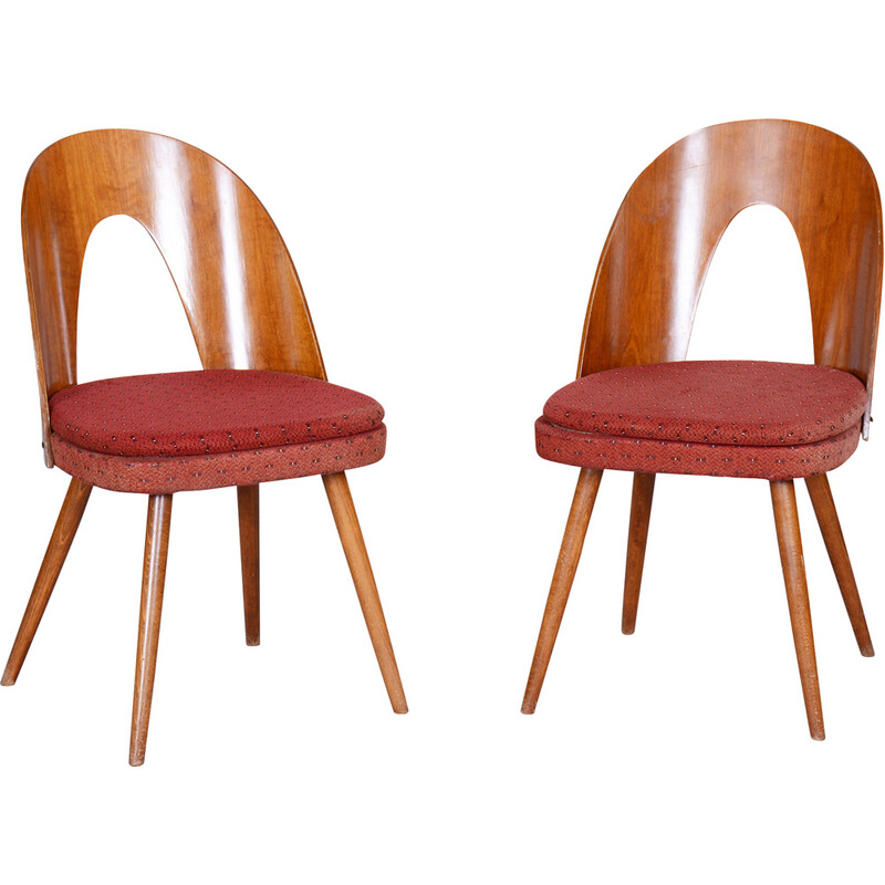 Pair of vintage chairs in beech, walnut and fabric by Antonín Šuman, Czech Republic 1950