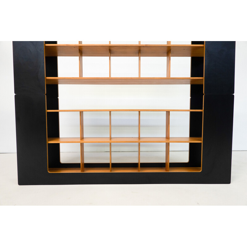 Mid-century bookcase by Robert Pam and Renato Toso, Italy 1972