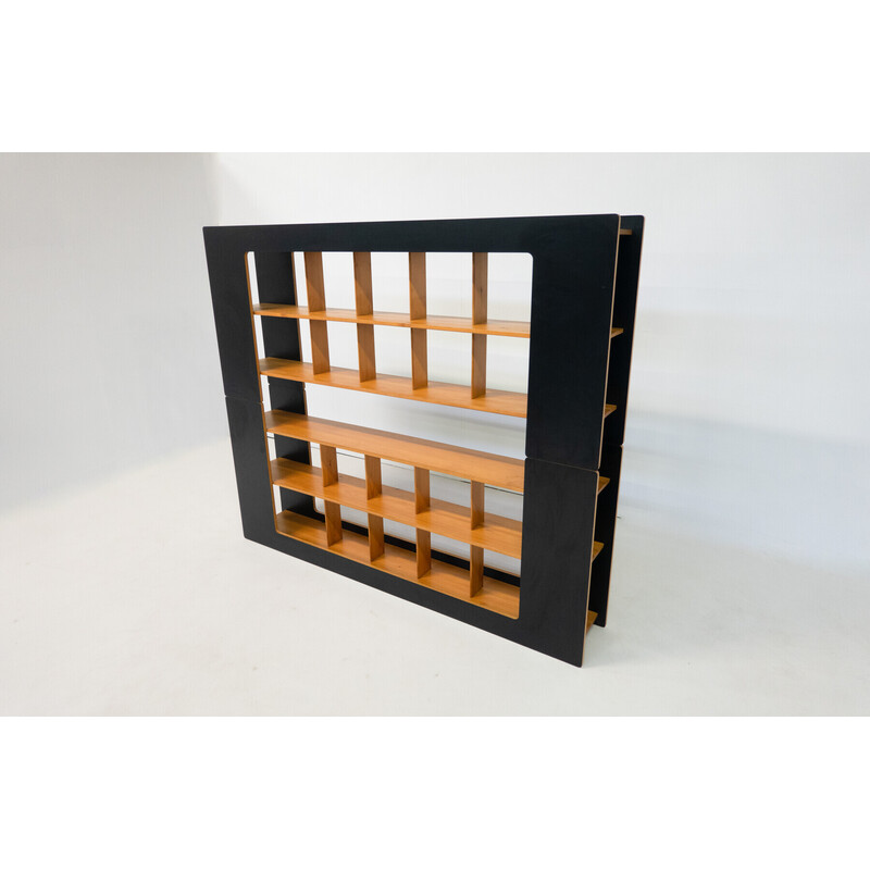 Mid-century bookcase by Robert Pam and Renato Toso, Italy 1972