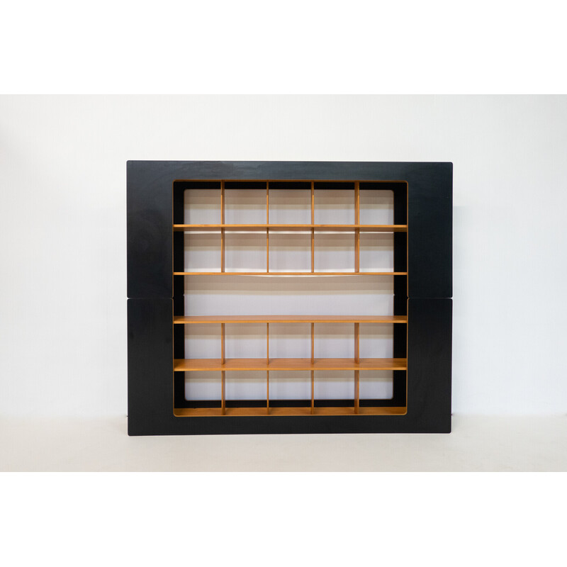 Mid-century bookcase by Robert Pam and Renato Toso, Italy 1972