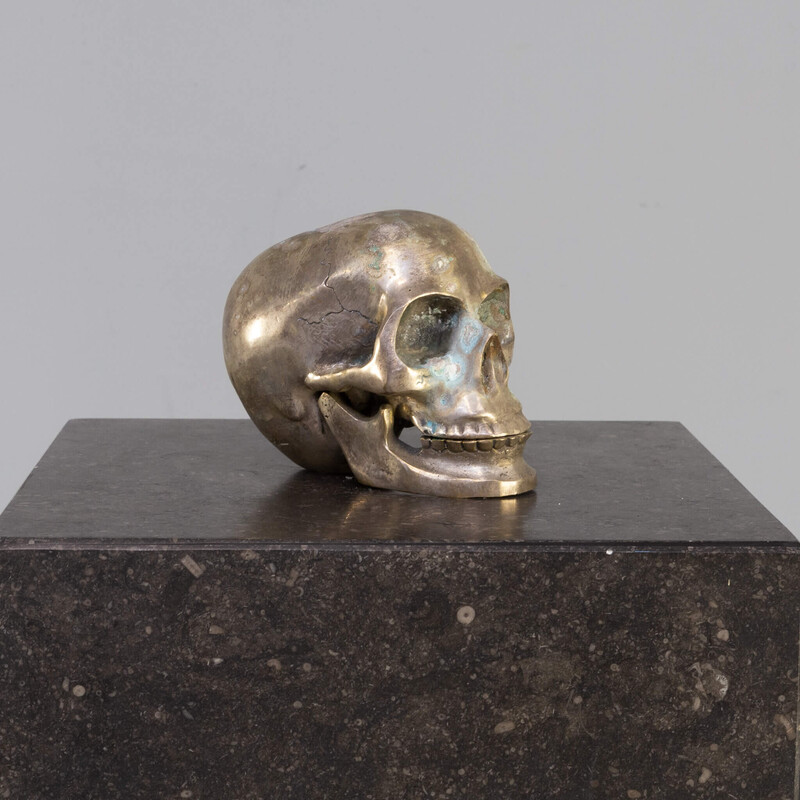 Vintage zilveren schedel