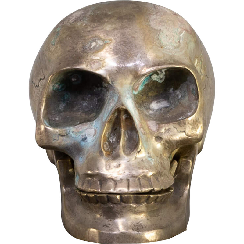 Vintage zilveren schedel