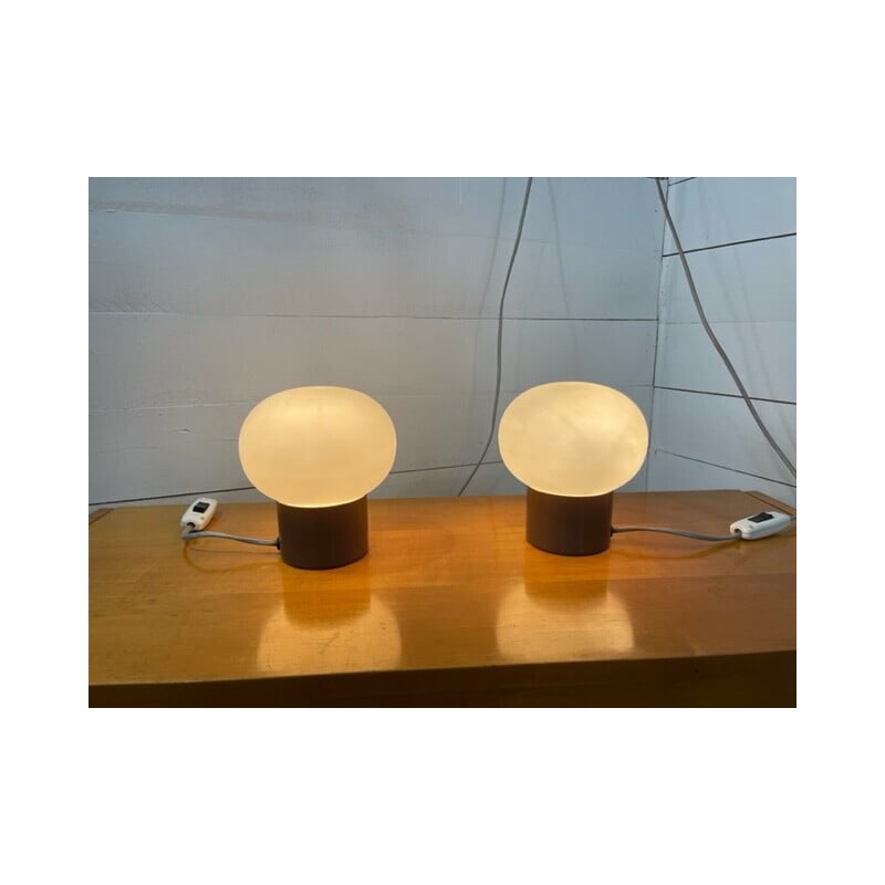 Paire de lampes de bureau vintage en marron par Nad-Lako pour Efc