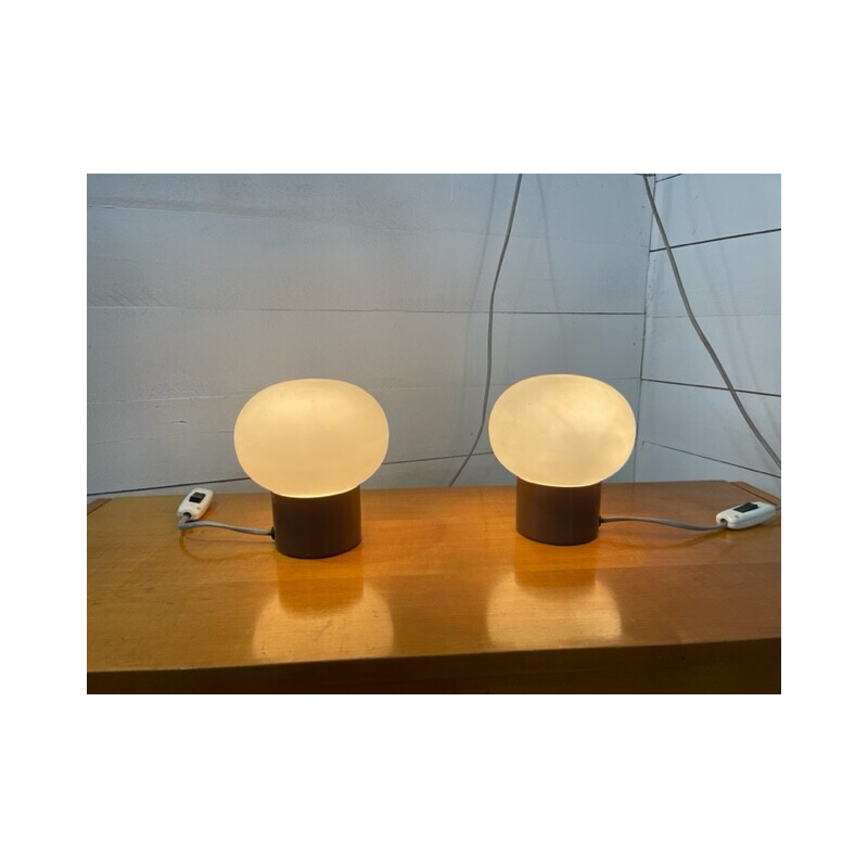 Pareja de lámparas de escritorio vintage en marrón de Nad-Lako para Efc