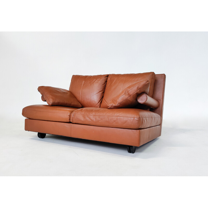 Baisity Zweisitzer-Sofa aus der Jahrhundertmitte von Antonio Citterio für B and B Italia, 1980er Jahre