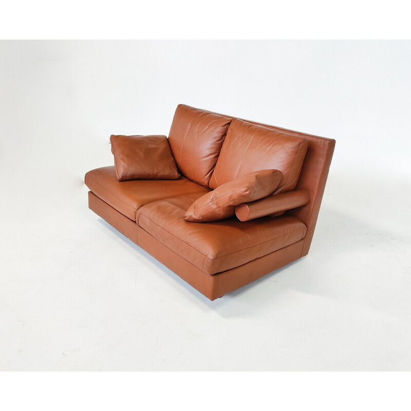 Baisity Zweisitzer-Sofa aus der Jahrhundertmitte von Antonio Citterio für B and B Italia, 1980er Jahre