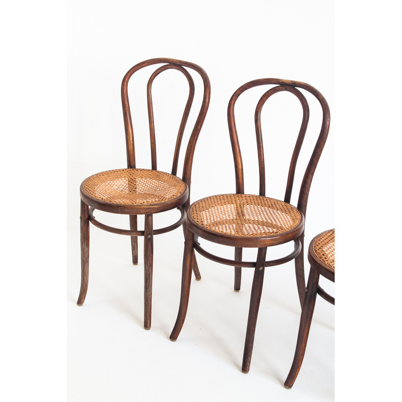 Set of 4 vintage chairs in bentwood and cane, France 1950