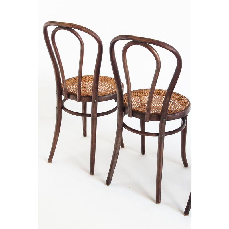 Juego de 4 sillas vintage de madera curvada y caña, Francia 1950