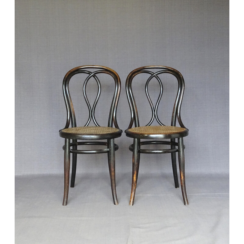 Conjunto de 6 cadeiras vintage N°29/14 por Thonet, 1885