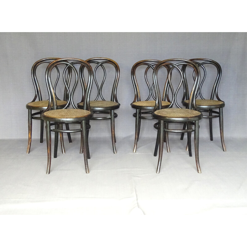 Set of 6 vintage chairs N°29/14 by Thonet, 1885