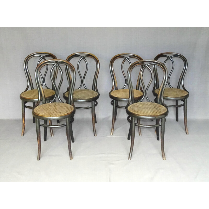 Juego de 6 sillas vintage N°29/14 de Thonet, 1885
