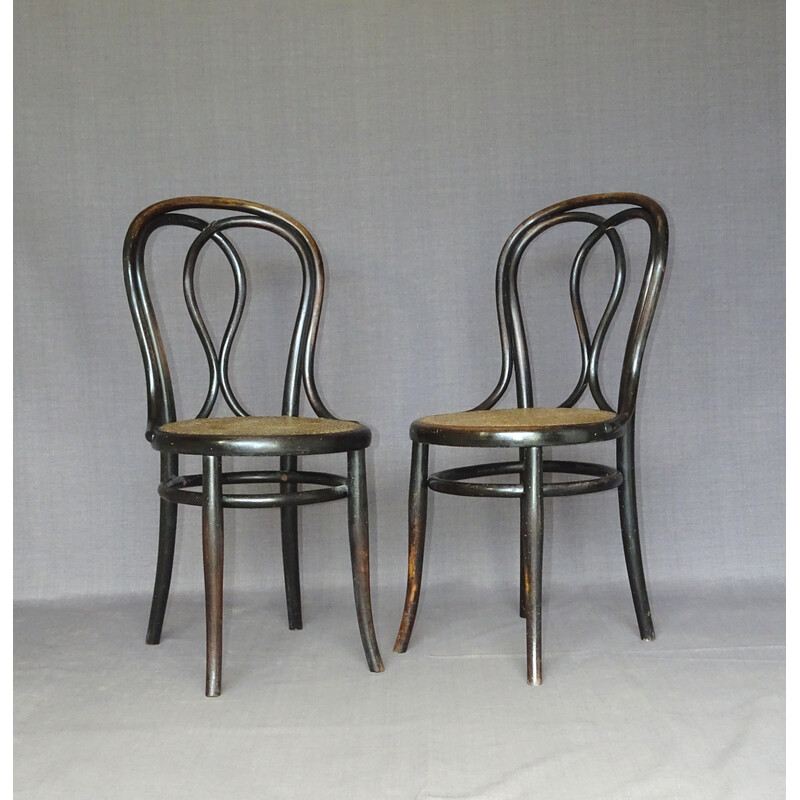 Set van 6 vintage stoelen N°29/14 van Thonet, 1885
