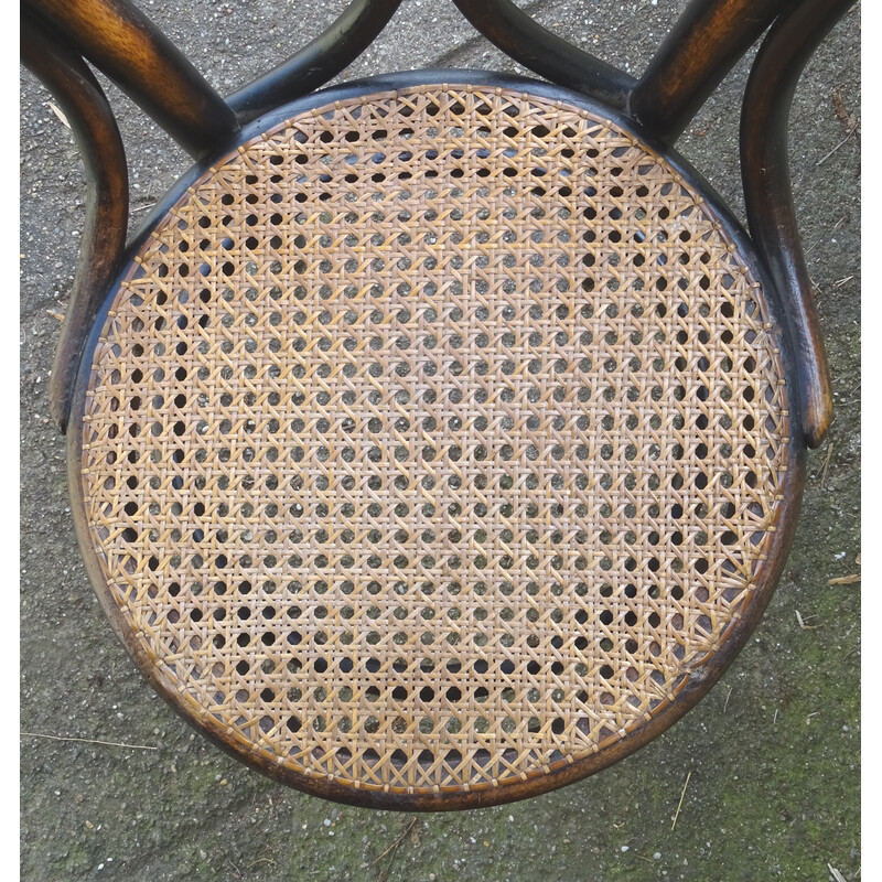 Set di 6 sedie vintage N°29/14 di Thonet, 1885