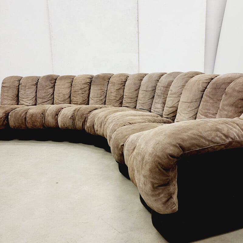 Vintage De Sede Ds600 snake sofa by Ueli Berger and Riva, 1970s