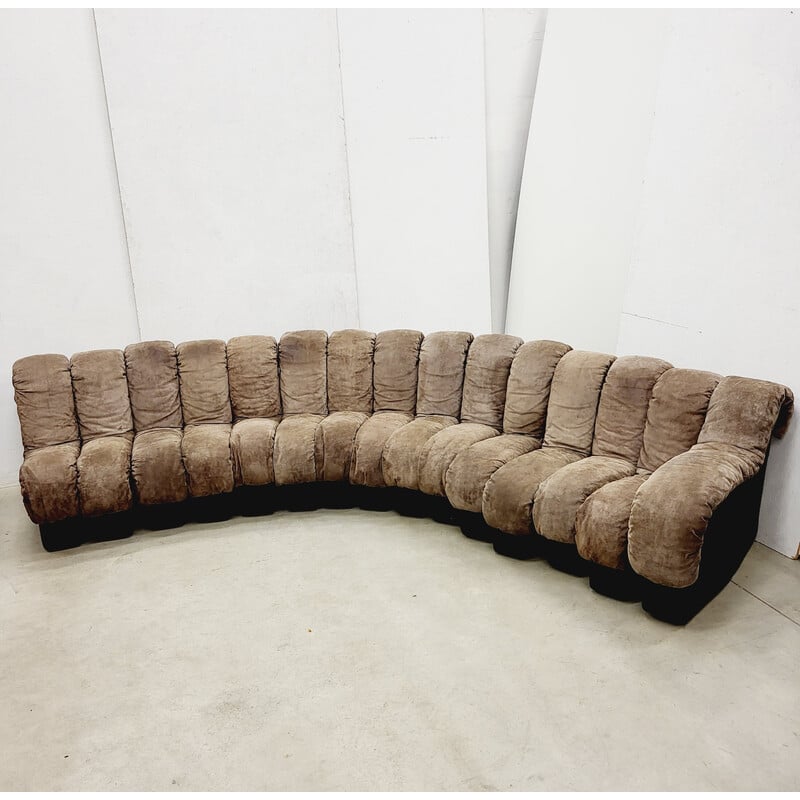 Vintage De Sede Ds600 snake sofa by Ueli Berger and Riva, 1970s