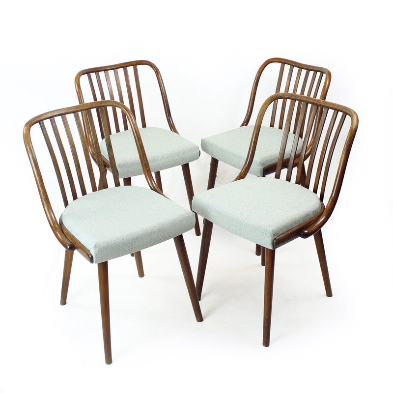 Conjunto de 4 cadeiras de jantar vintage em madeira de carvalho escuro dobrada por Jitona, Checoslováquia, década de 1960