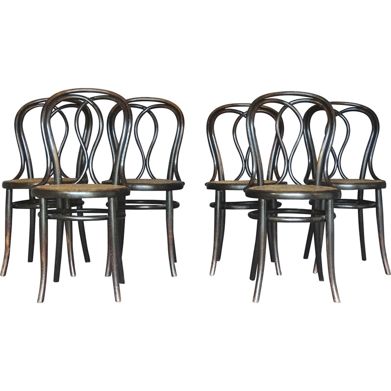 Set van 6 vintage stoelen N°29/14 van Thonet, 1885