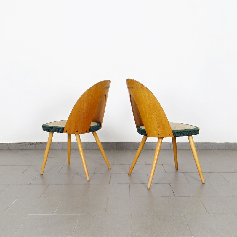 Conjunto de 5 cadeiras de jantar vintage por Antonín Stávio para Tatra Nábytok