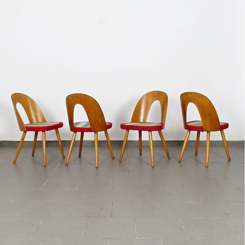 Set van 4 vintage stoelen van Antonín Šuman voor Tatra Nábytok