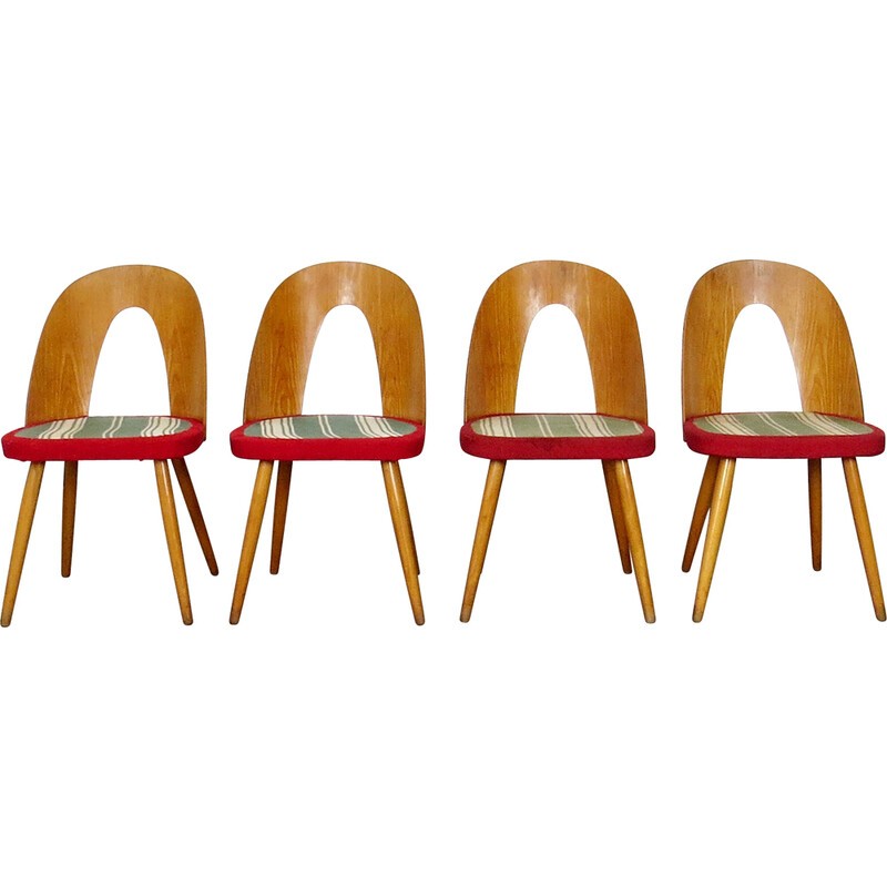 Conjunto de 4 cadeiras vintage por Antonín Stávio para Tatra Nábytok