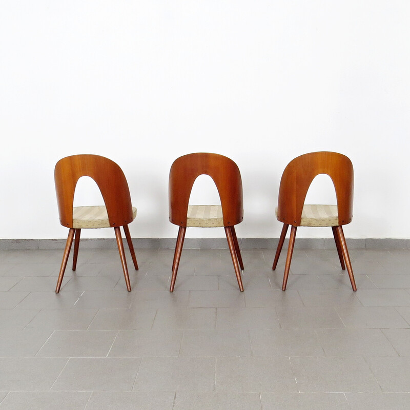Conjunto de 3 cadeiras de jantar vintage por Antonín Stávio para Tatra Nábytok