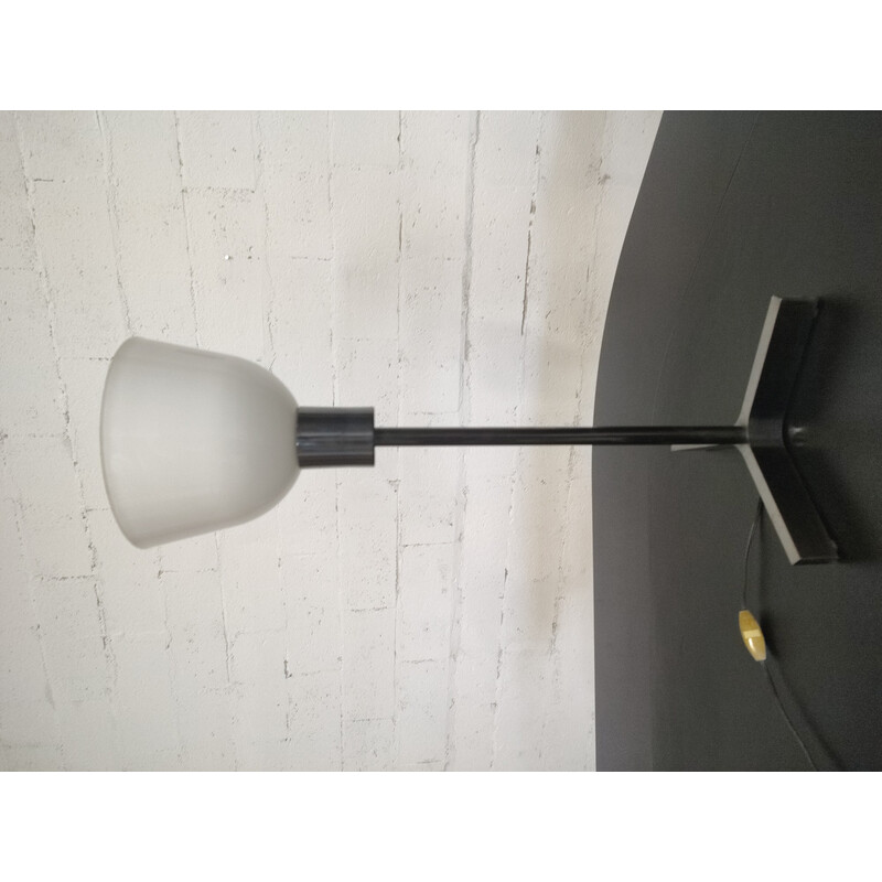 Vintage opaline lamp by Roger Fatus for Diderot
