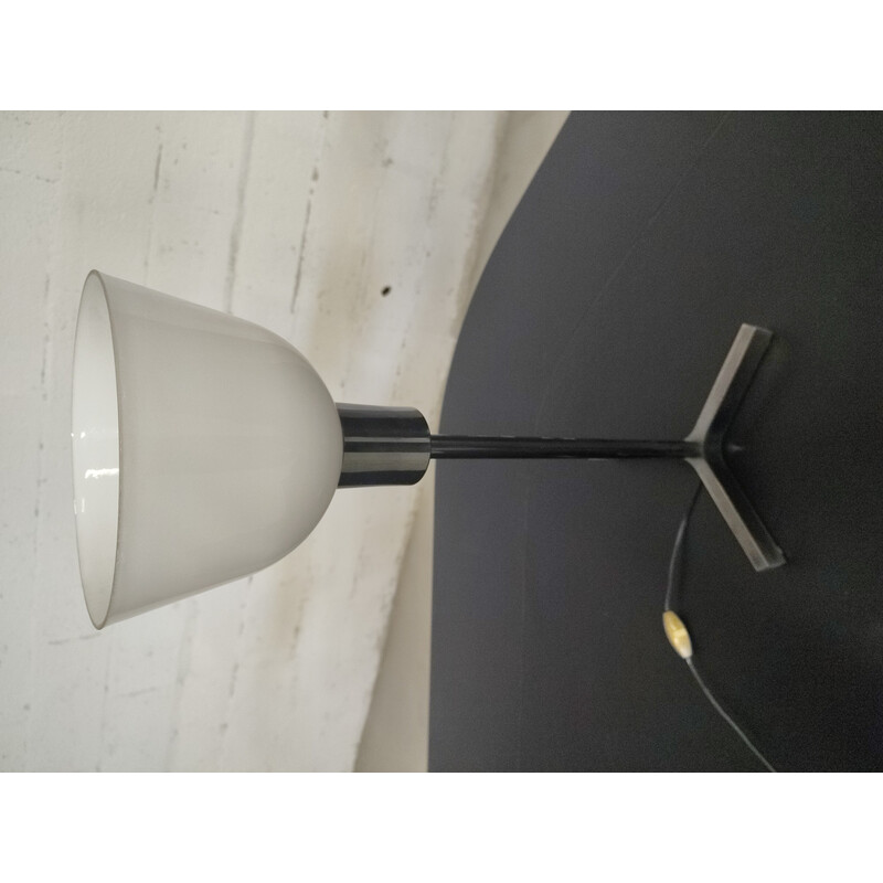 Vintage opaline lamp by Roger Fatus for Diderot