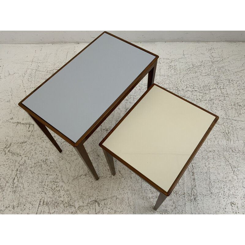 Vintage teak and opaline nesting tables, 1960