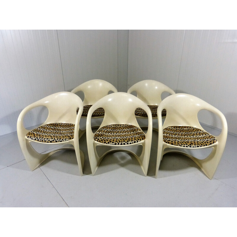 Set of 5 Casala Dining Chairs by Alexander Begge - 1970s