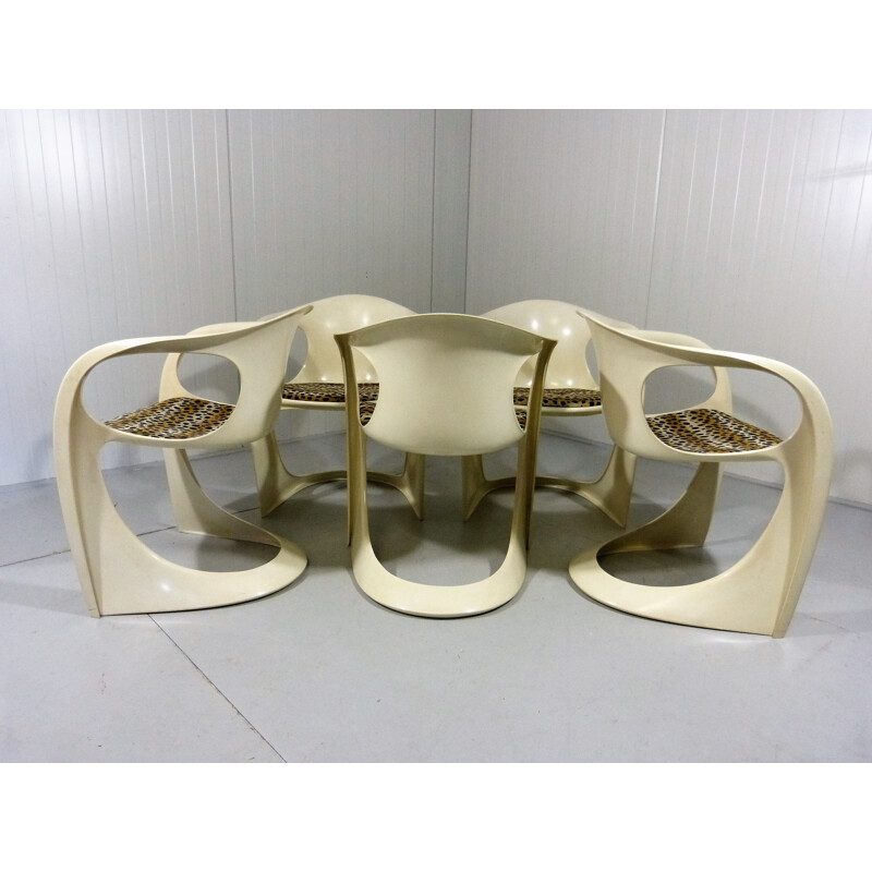 Ensemble de 5 chaises de salle à manger par Alexander Begge pour Casala - 1970