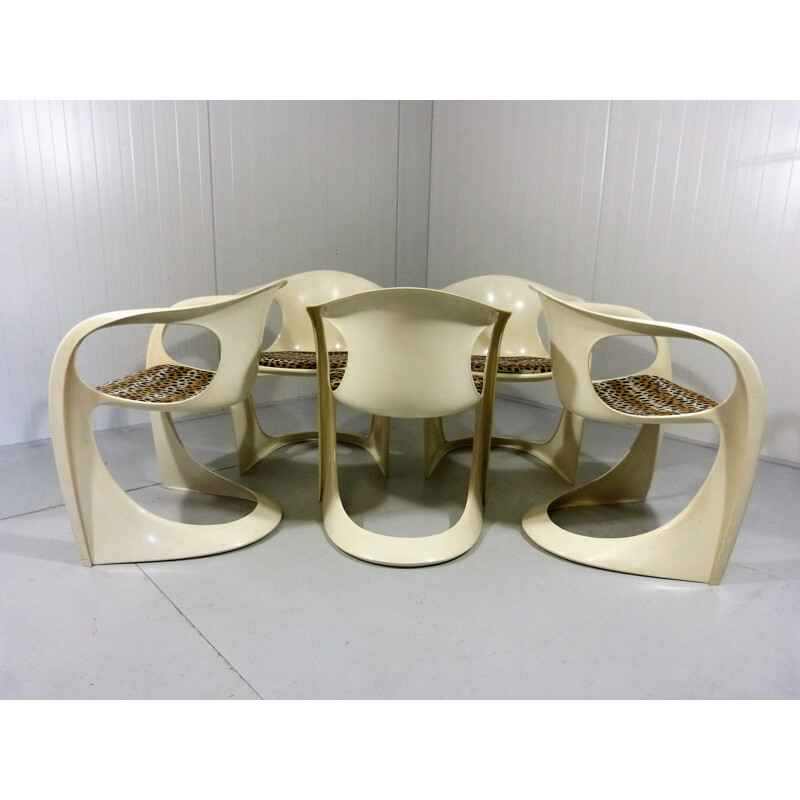 Set of 5 Casala Dining Chairs by Alexander Begge - 1970s