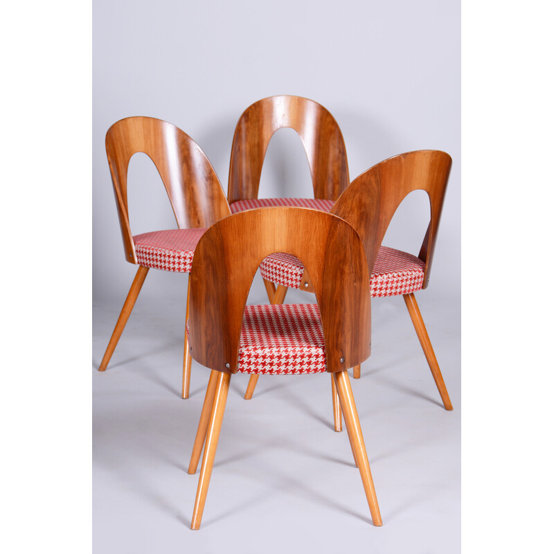 Set of 4 vintage beechwood, walnut and fabric chairs by Antonin Suman, Czechia 1950