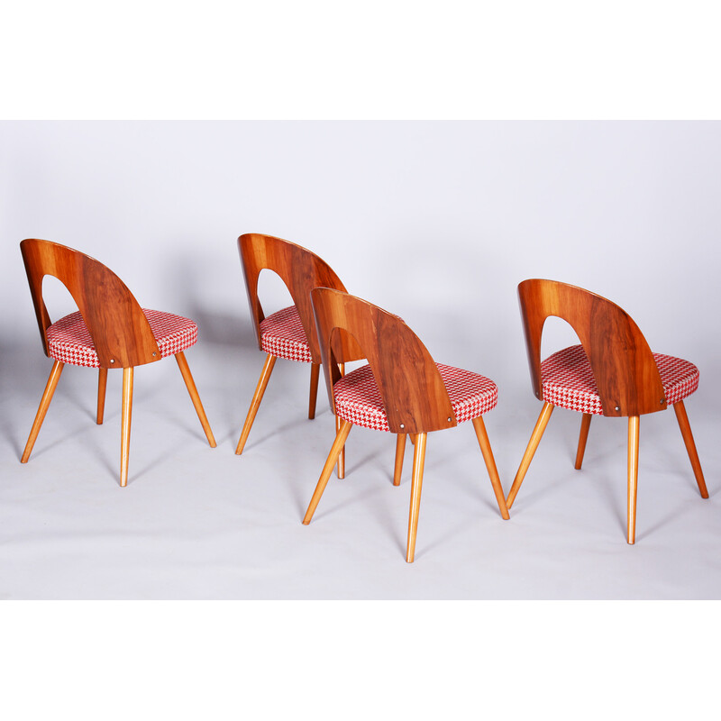 Conjunto de 4 cadeiras de faia, nogueira e tecido de Antonin Suman, Czechia 1950