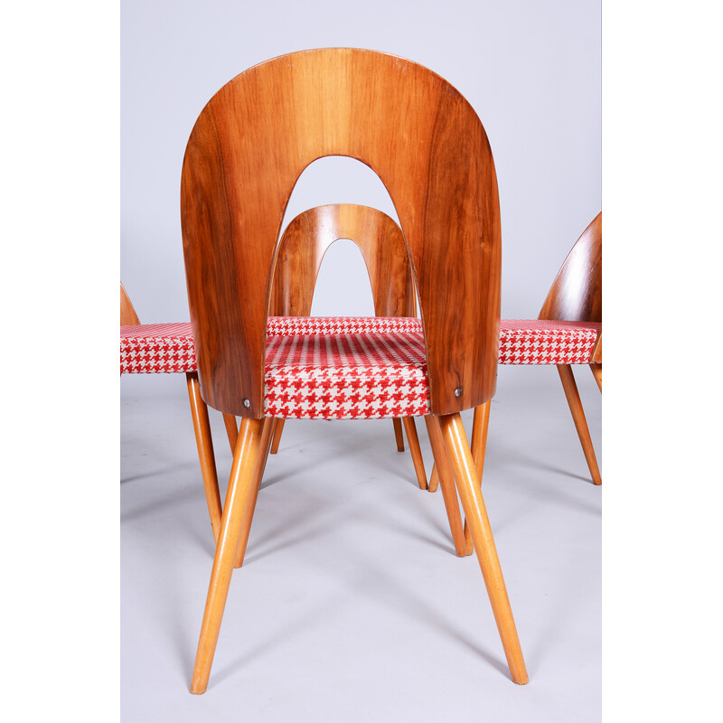 Set of 4 vintage beechwood, walnut and fabric chairs by Antonin Suman, Czechia 1950