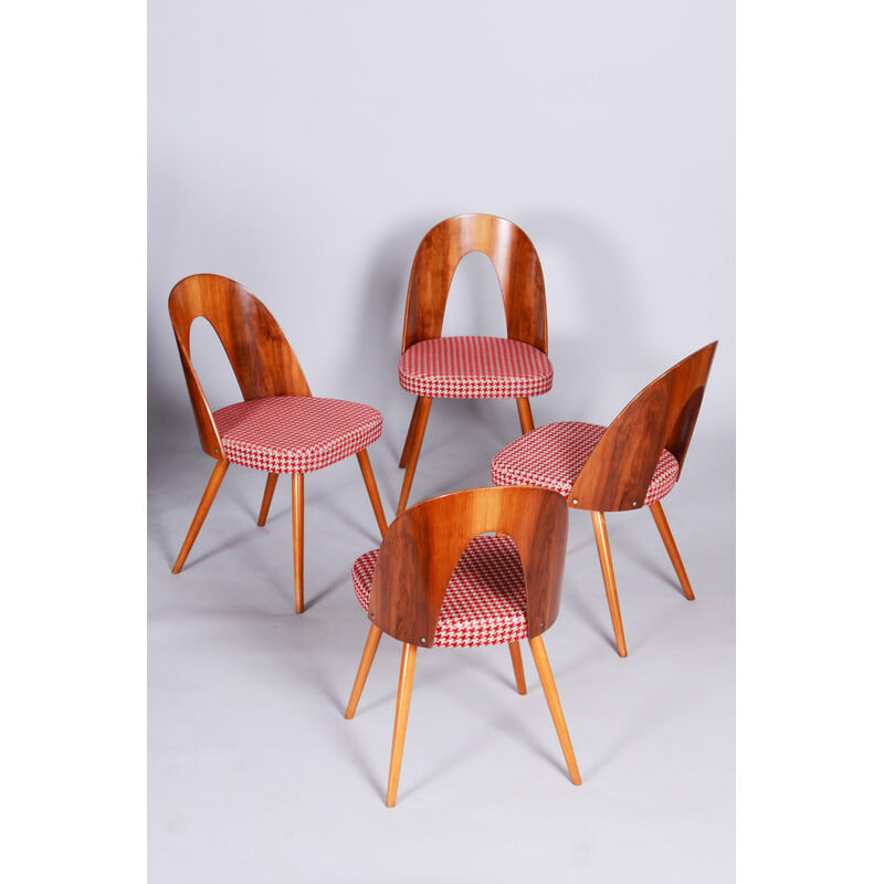 Set of 4 vintage beechwood, walnut and fabric chairs by Antonin Suman, Czechia 1950