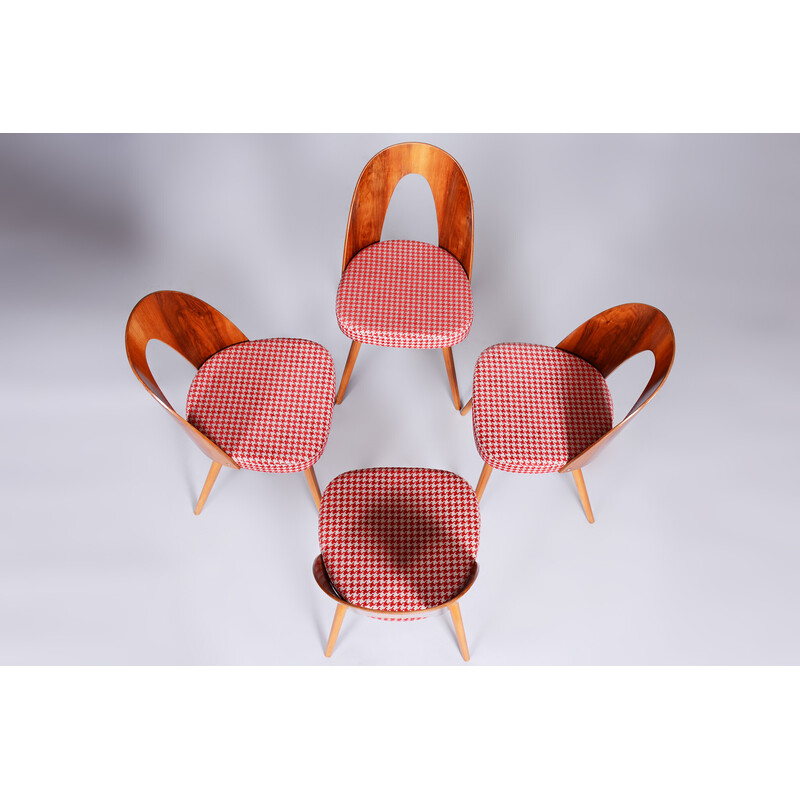 Ensemble de 4 chaises vintage en hêtre, noyer et tissu par Antonin Suman, Tchécoslovaquie 1950