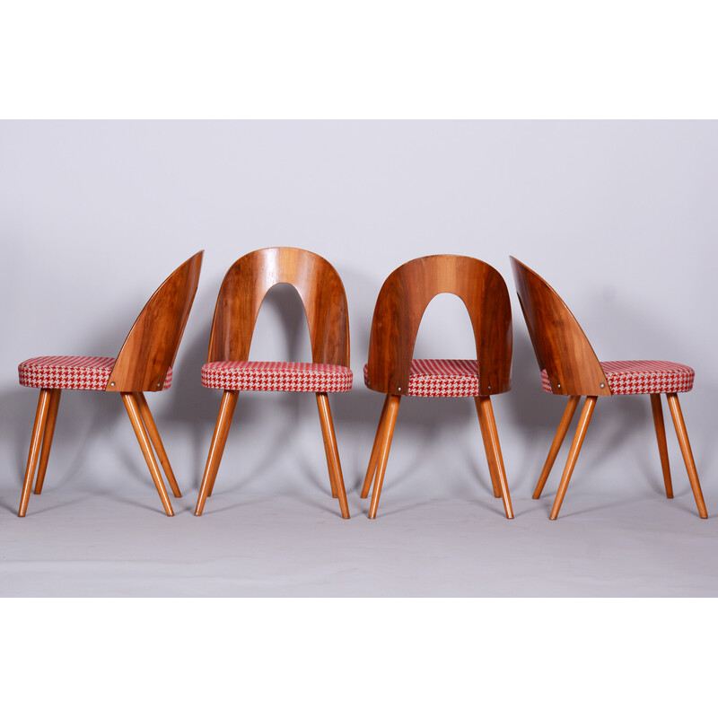Set of 4 vintage beechwood, walnut and fabric chairs by Antonin Suman, Czechia 1950