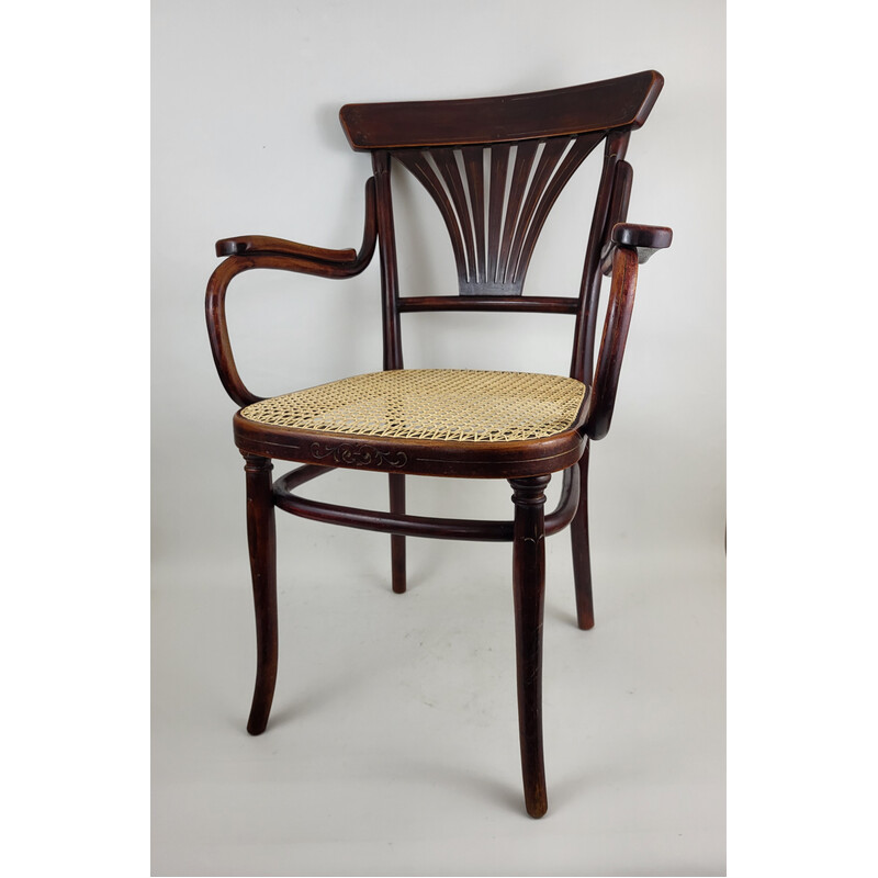 Poltrona vintage in legno curvato Thonet N°1221