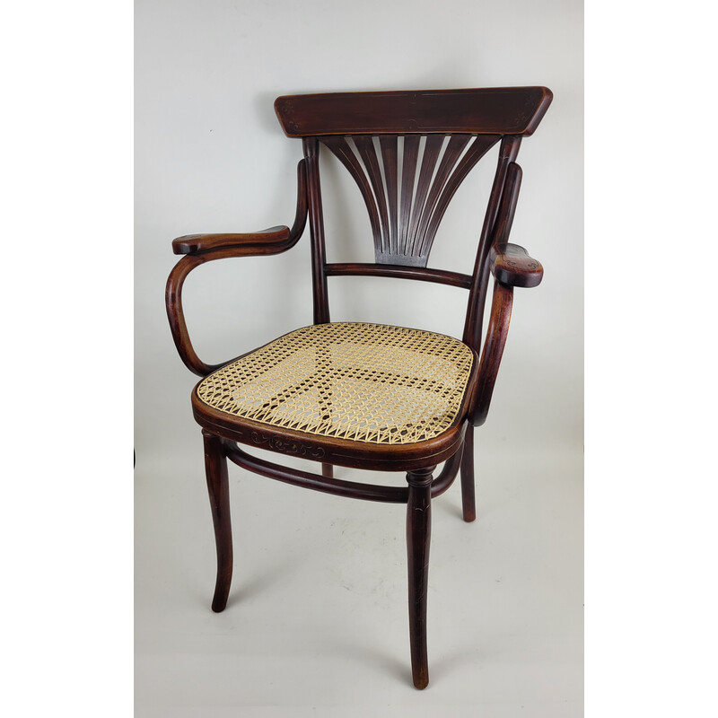 Poltrona Vintage de madeira dobrada Thonet N°1221