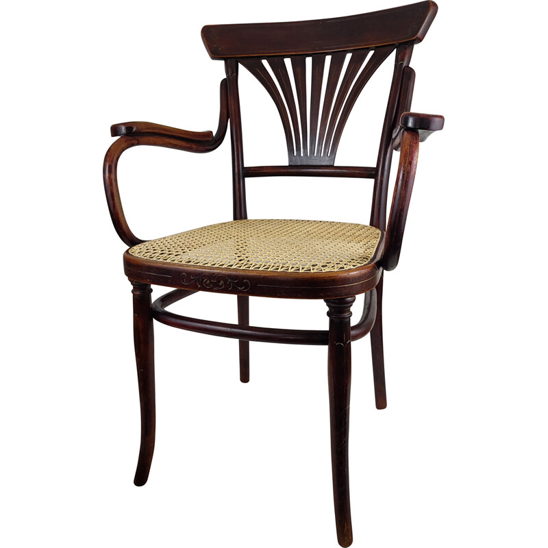 Poltrona Vintage de madeira dobrada Thonet N°1221