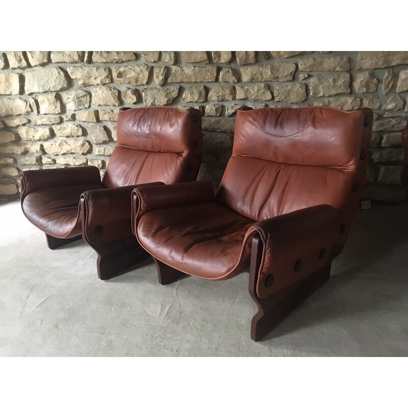 Set of 2 Canada P110 lounge chairs by Osvaldo Borsani - 1960s