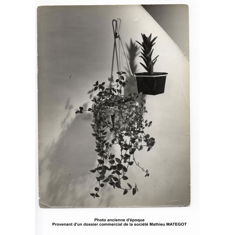 Ensemble de 3 porte-plantes de M. Mategot modèle "Chambord" - 1950