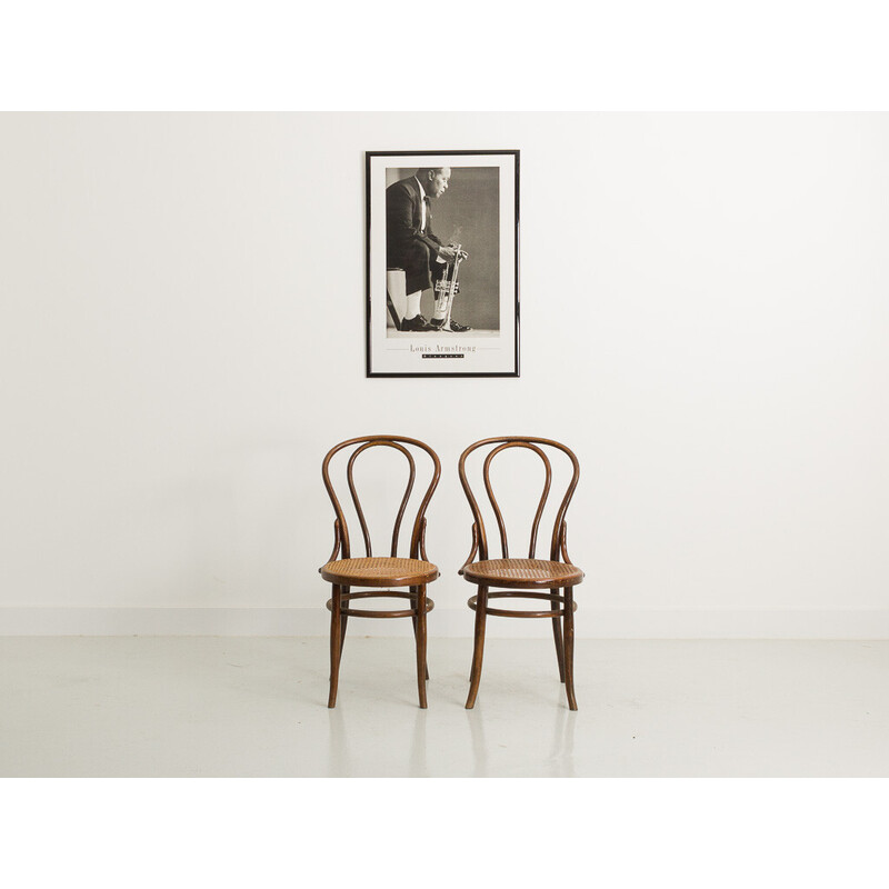 Pair of vintage bentwood chairs